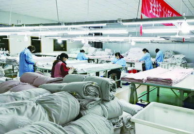 山陽:&ldquo;基地+市場&rdquo;讓羽絨產業 &ldquo;飛&rdquo;起來